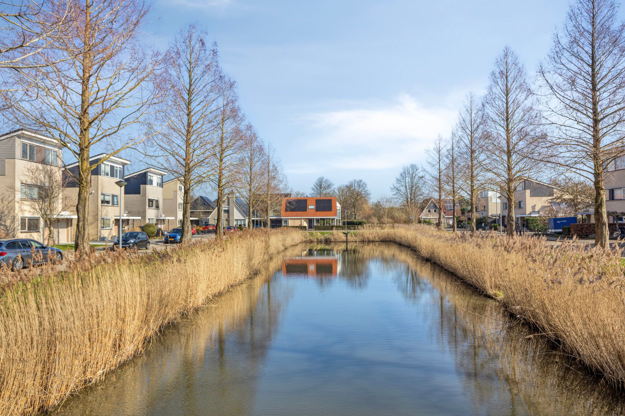 Photo 45 of Berkenstraat 13