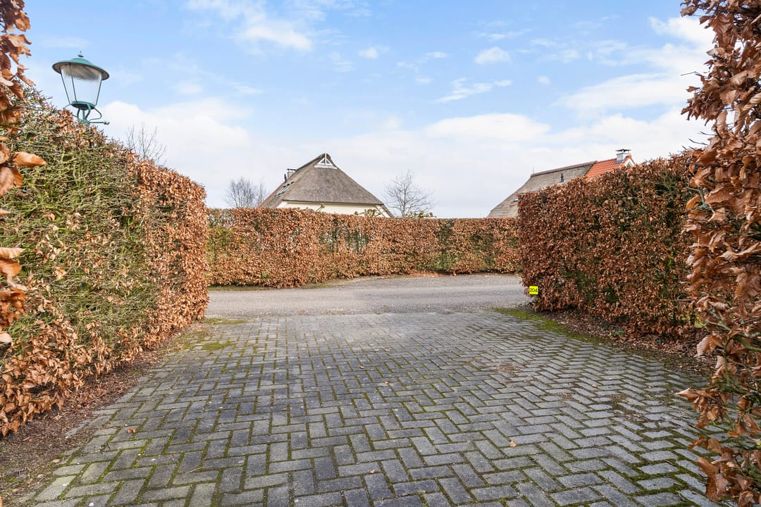 Foto 46 van Eysinga-State 204