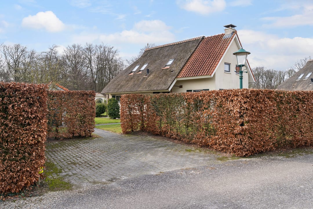 Foto 47 van Eysinga-State 204