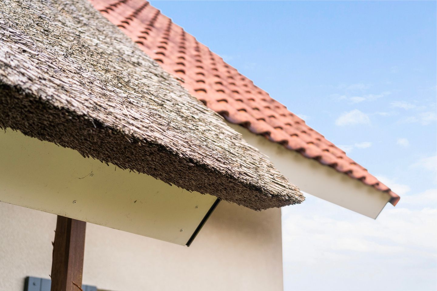 Foto 49 van Eysinga-State 204