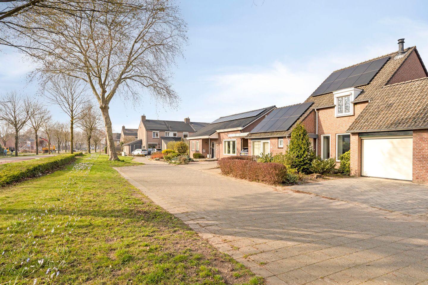 Foto 40 van Schout van der Voortstraat 4