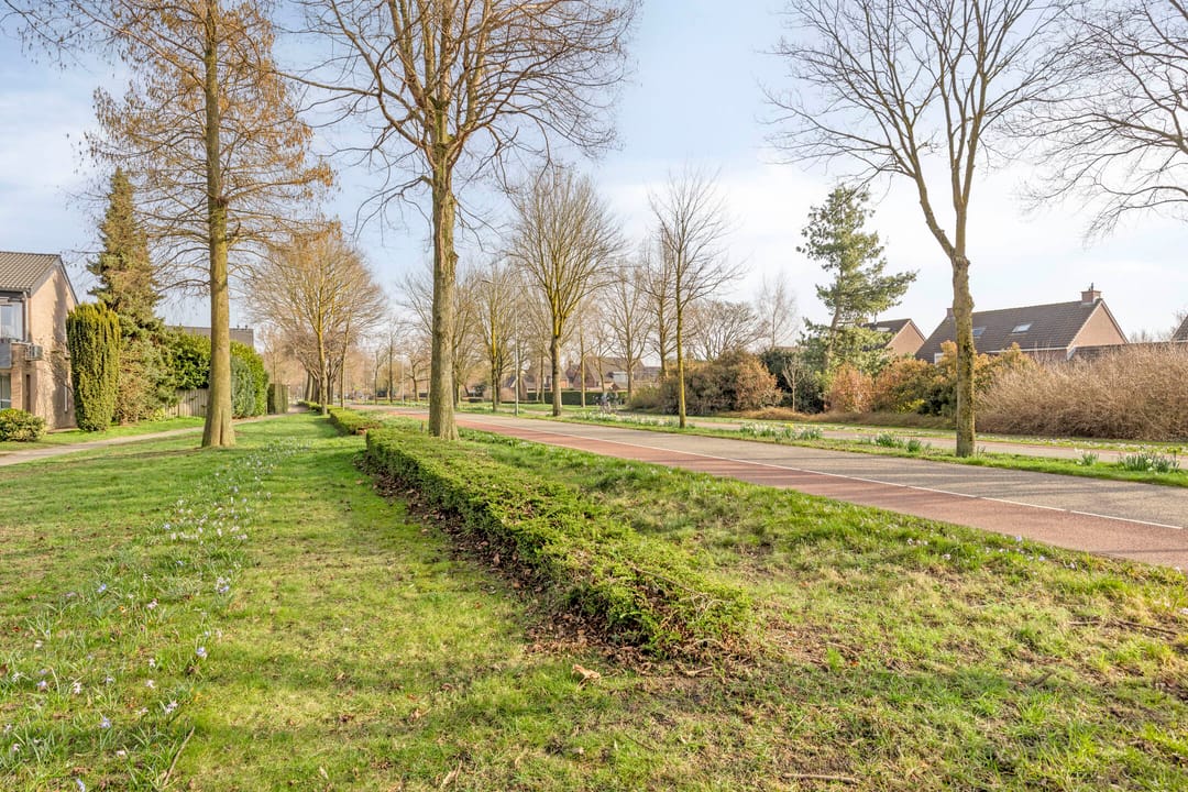 Foto 41 van Schout van der Voortstraat 4