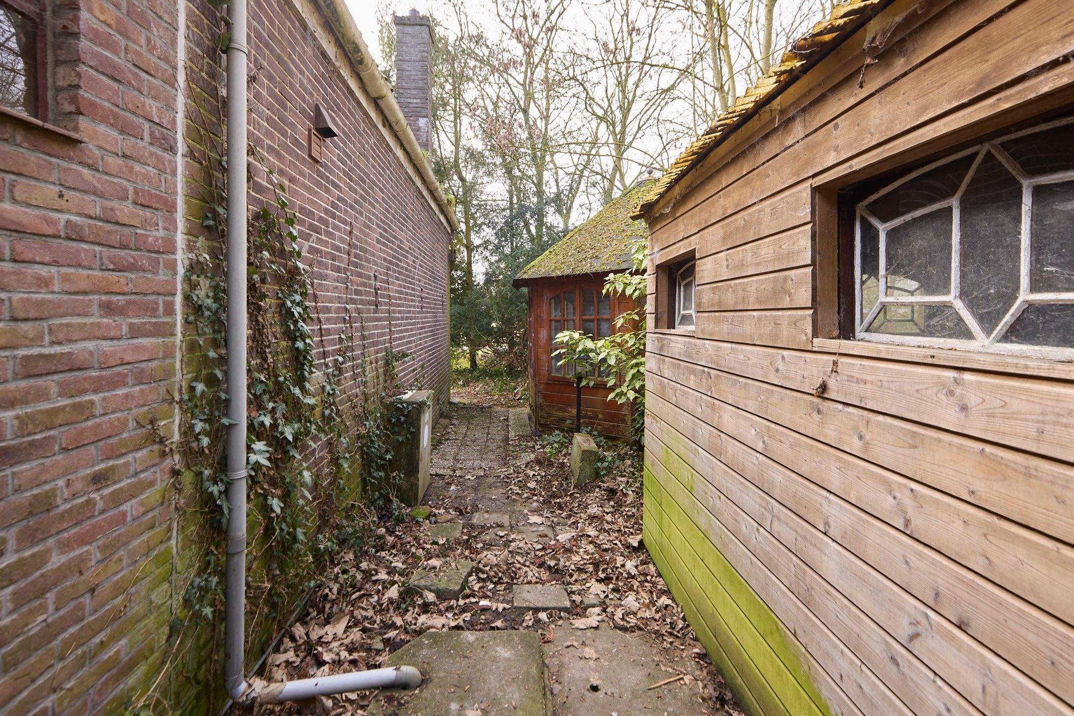 Photo 42 of Zuiderpad 5