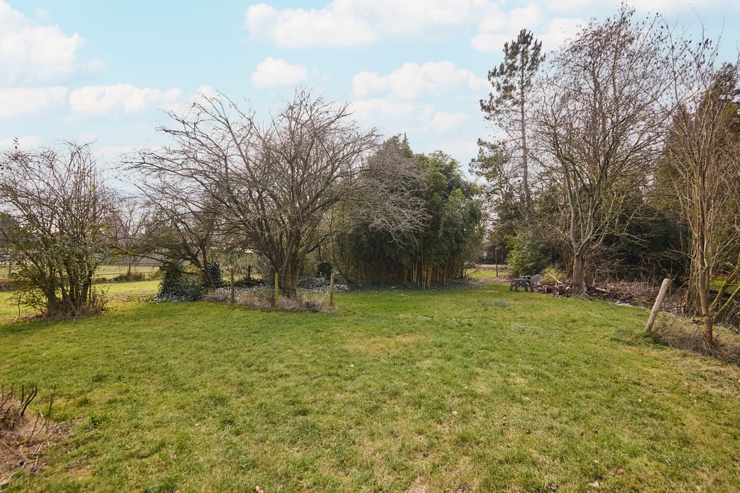 Photo 53 of Zuiderpad 5