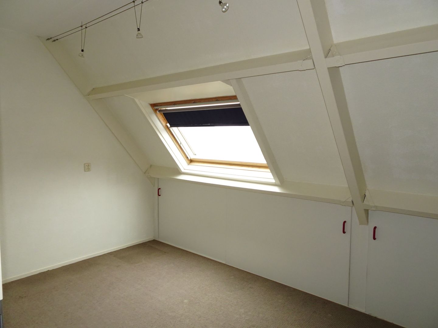 Photo 14 of Manusveert 45