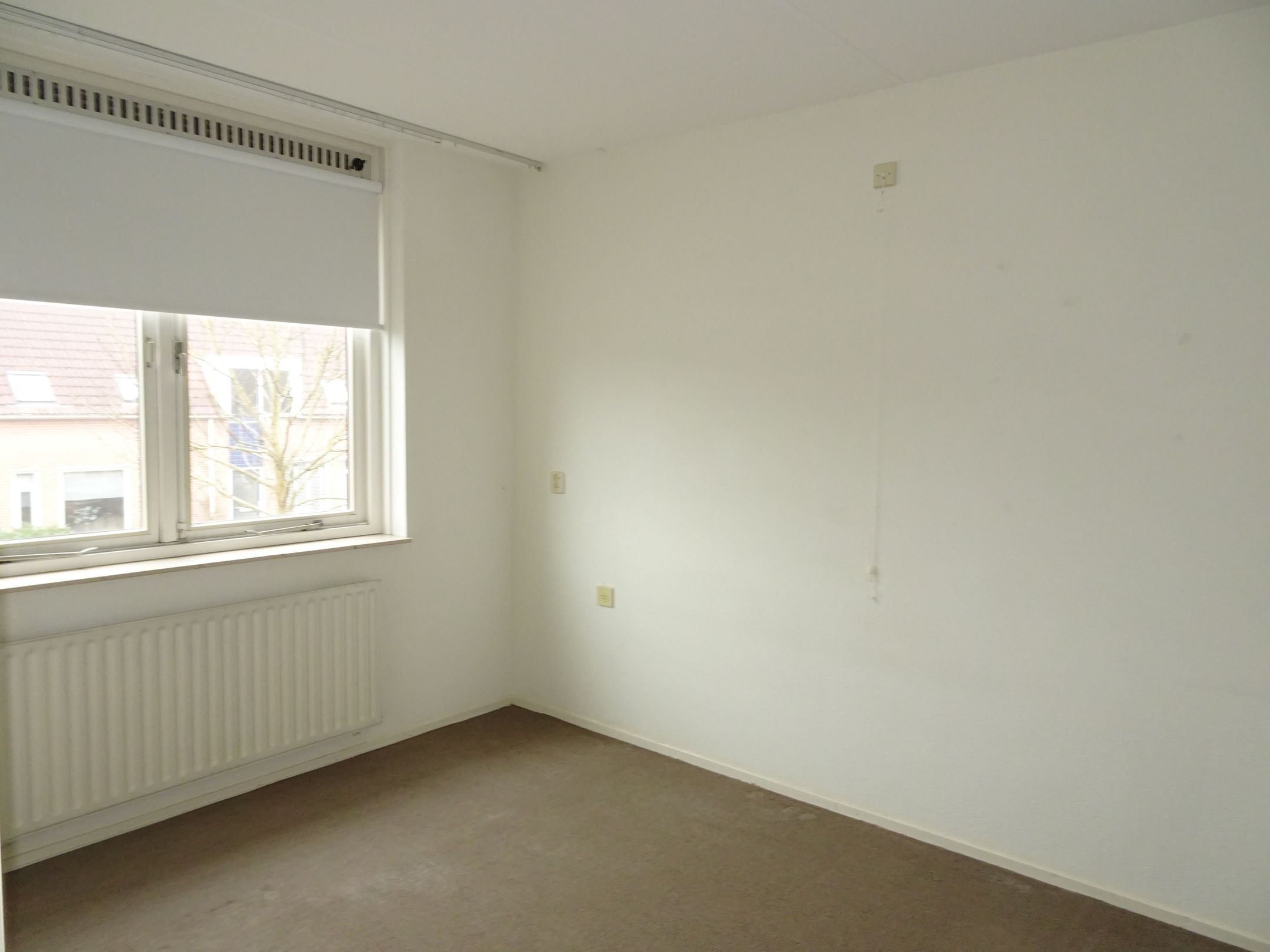 Photo 15 of Manusveert 45