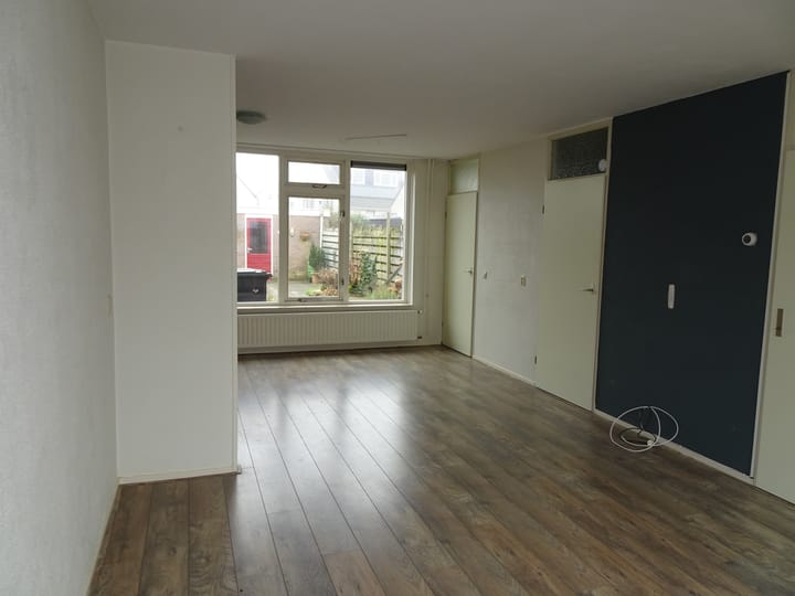 Photo 2 of Manusveert 45