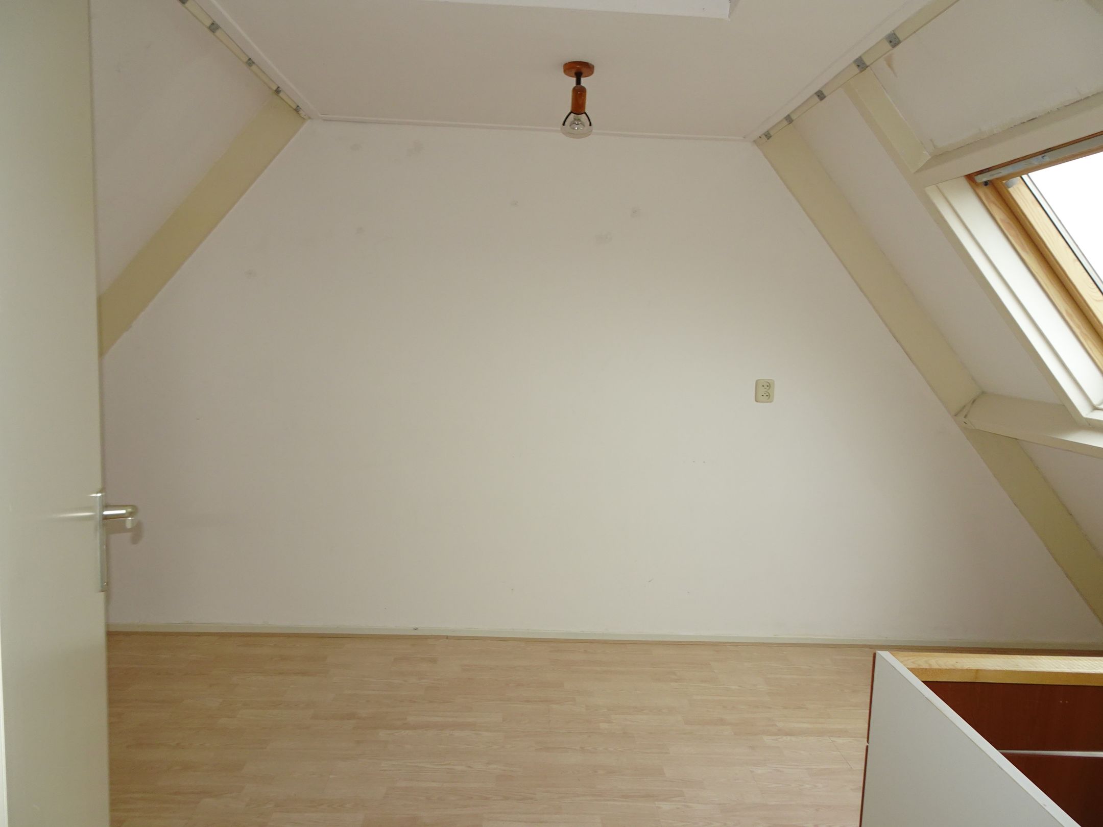 Photo 18 of Manusveert 45