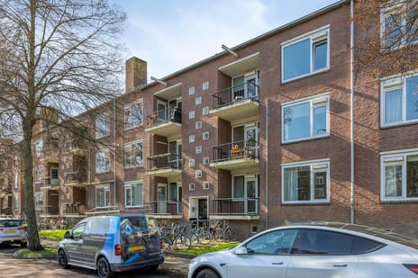 Jeroen Boschlaan thumbnail