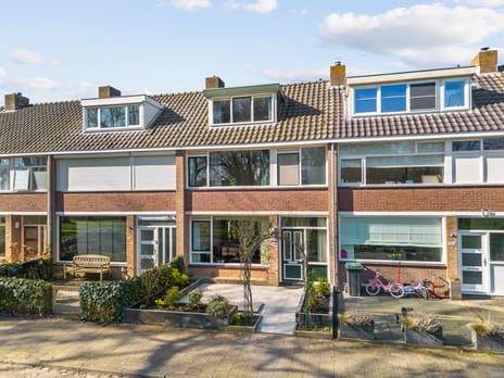 Herman Gorterhof thumbnail