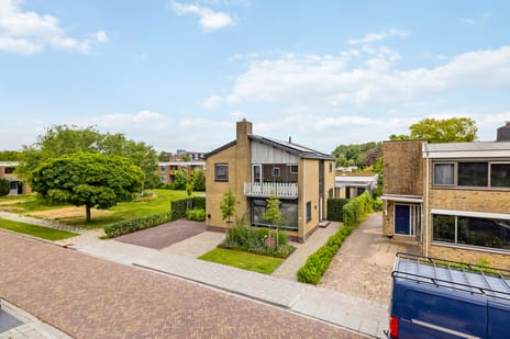 Sytsingawiersterleane 23 tertiary image