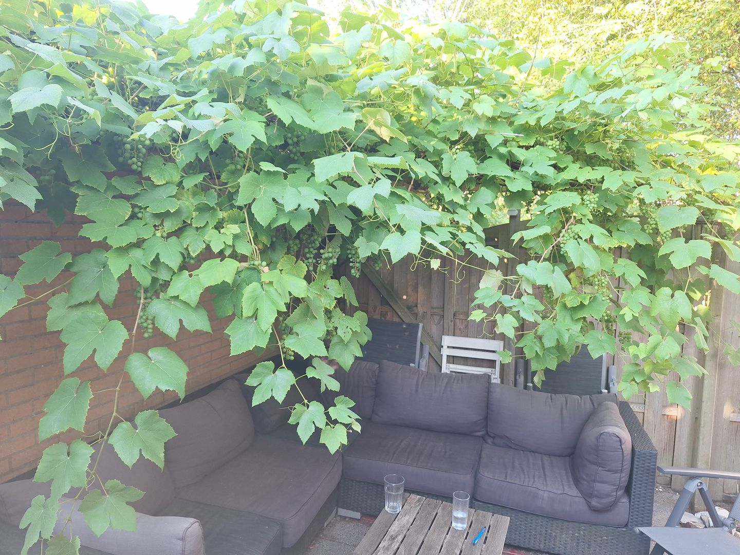 Photo 35 of Bocholtstraat 8