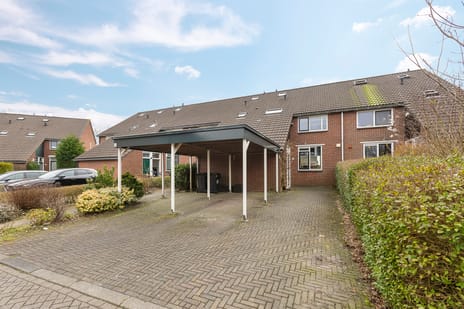 De Populieren thumbnail