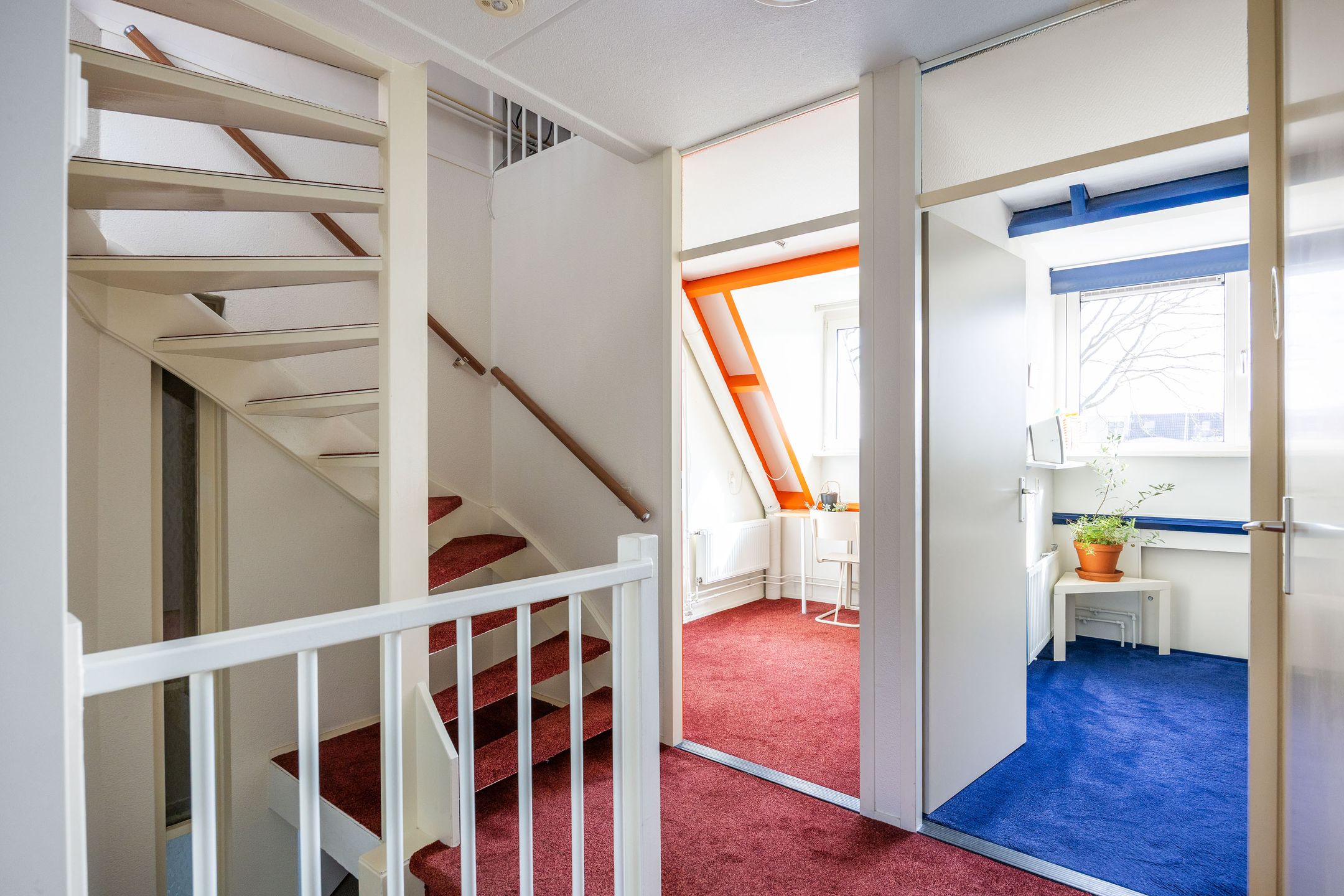 Photo 36 of De Oplang 14