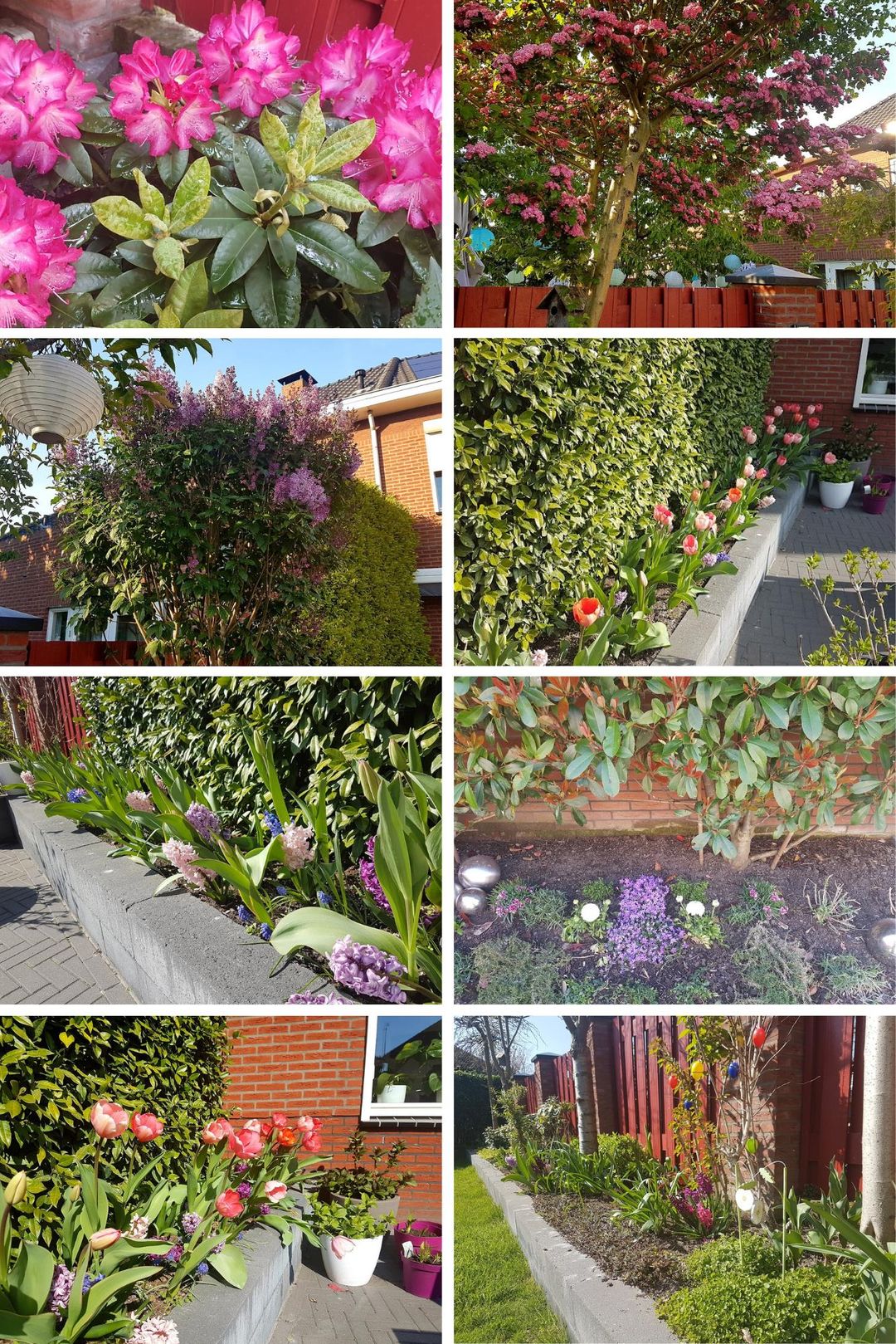 Photo 2 of Willem Schuurmanlaan 17