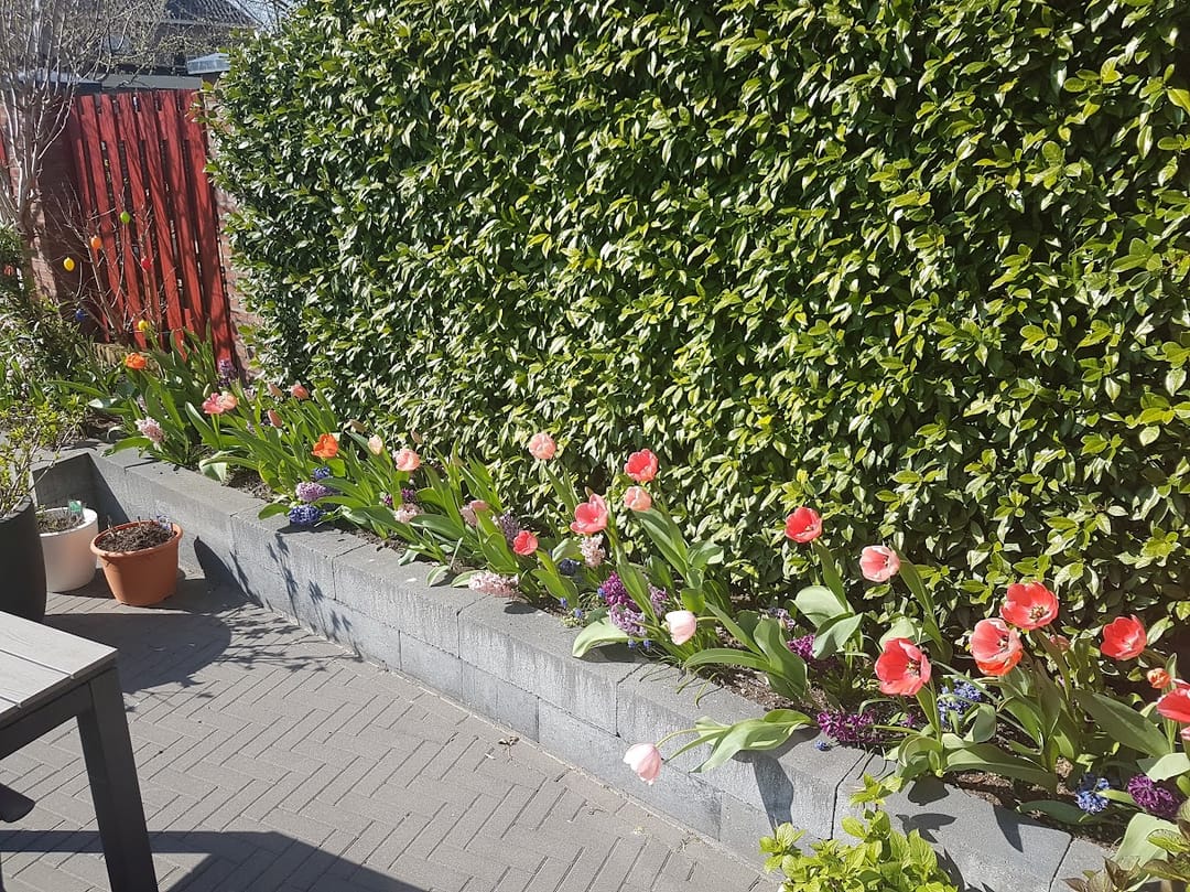 Photo 52 of Willem Schuurmanlaan 17