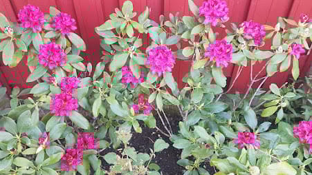 Photo 60 of Willem Schuurmanlaan 17