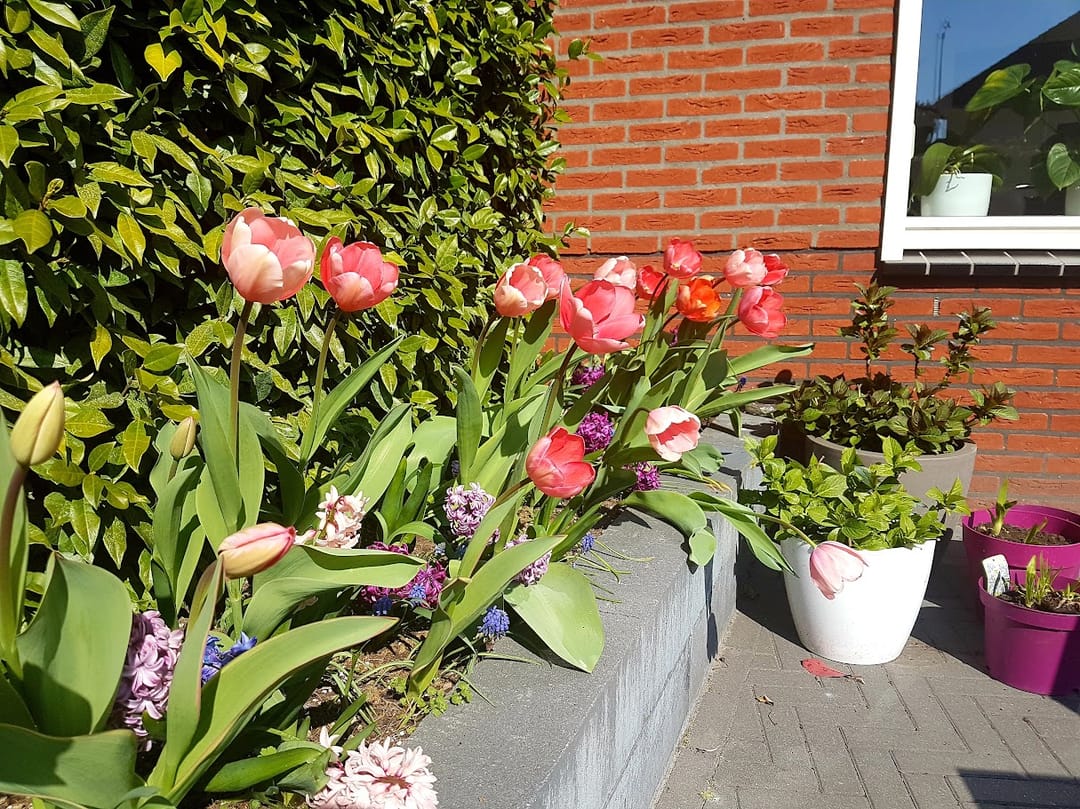 Photo 56 of Willem Schuurmanlaan 17