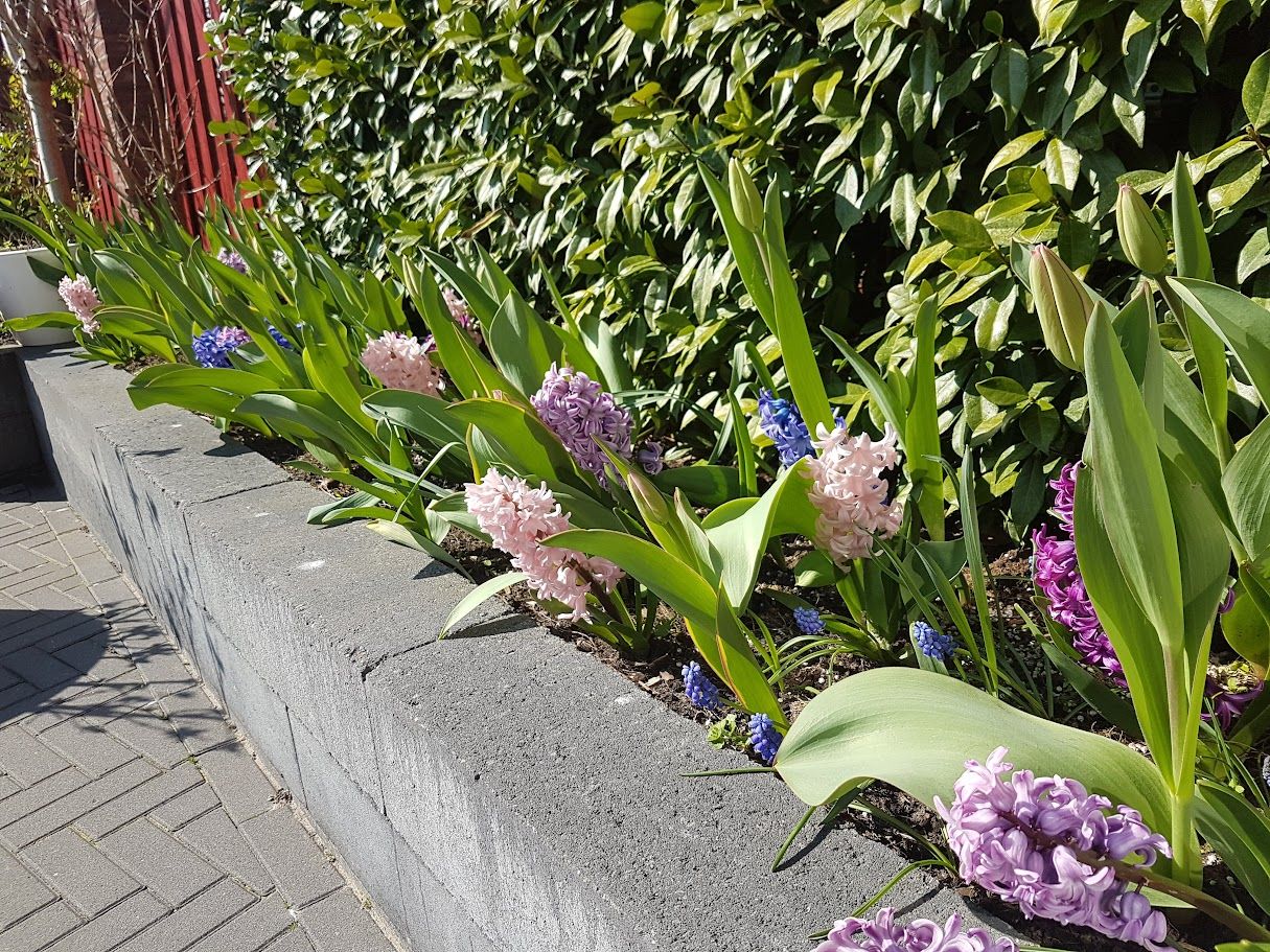 Photo 51 of Willem Schuurmanlaan 17