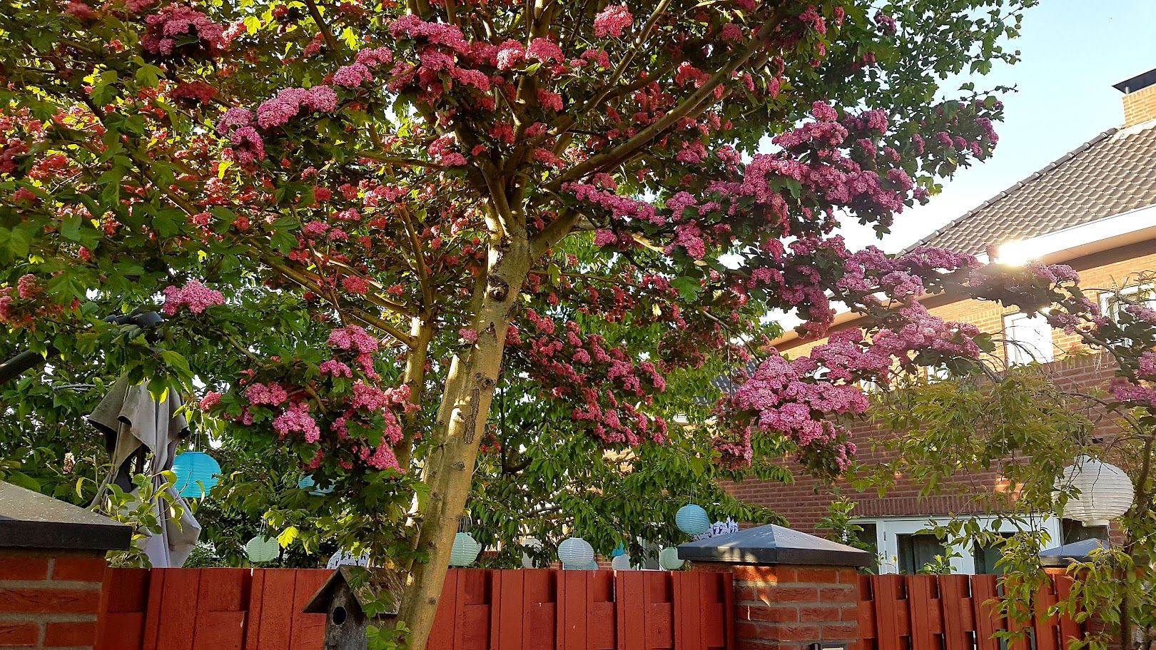 Photo 54 of Willem Schuurmanlaan 17