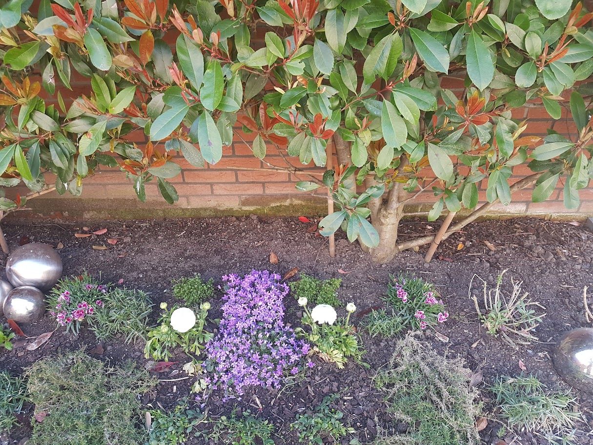 Photo 55 of Willem Schuurmanlaan 17