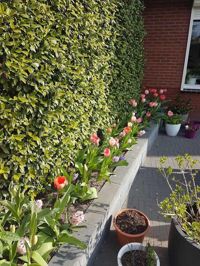 Photo 57 of Willem Schuurmanlaan 17