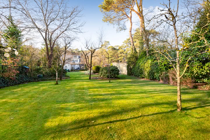 Foto 3 van Coldenhovenseweg 91