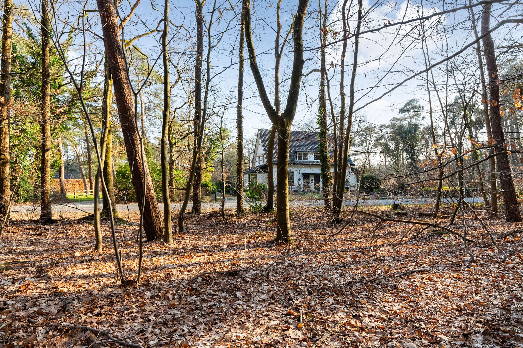 Foto 6 van Coldenhovenseweg 91