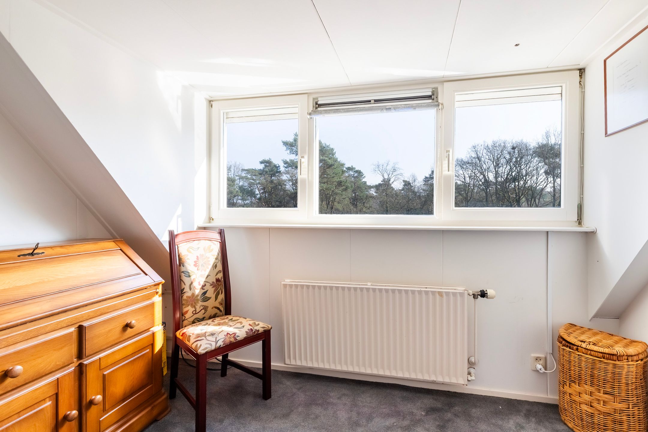 Foto 39 van Coldenhovenseweg 91