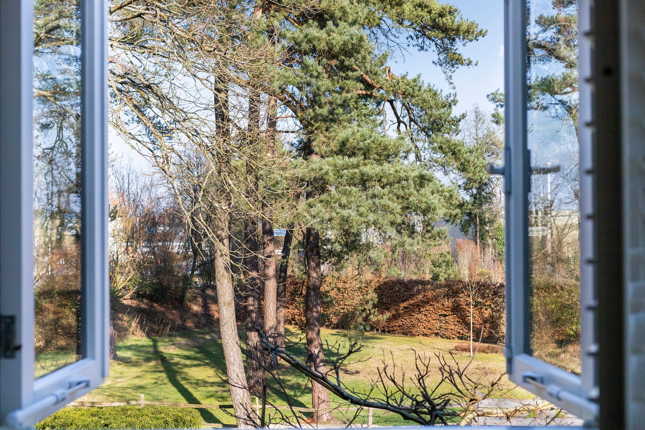 Foto 42 van Coldenhovenseweg 91