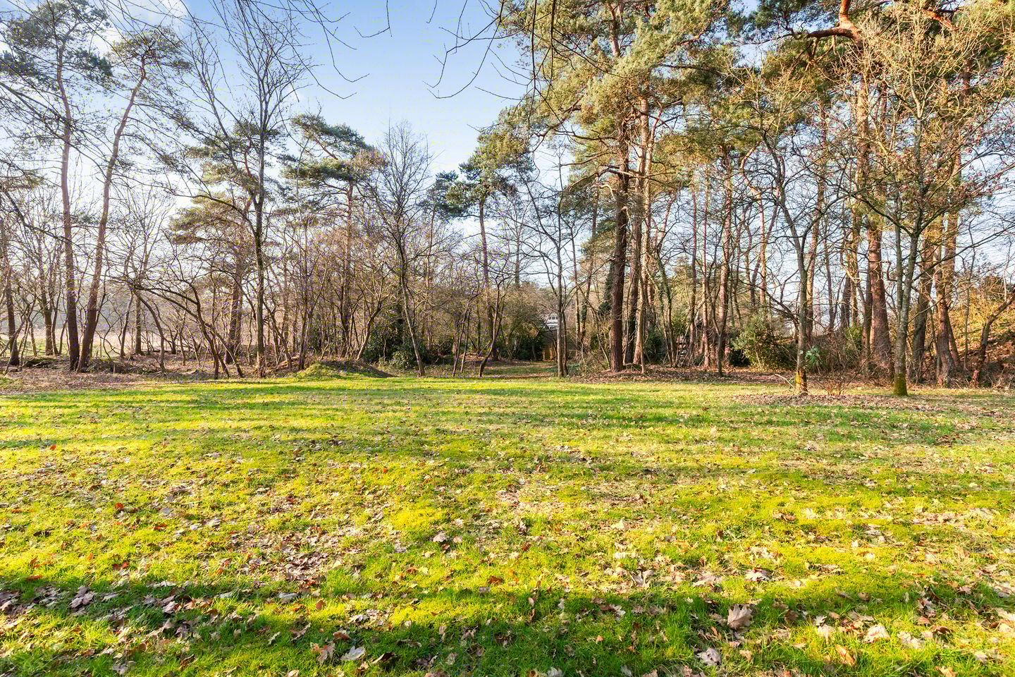 Foto 65 van Coldenhovenseweg 91