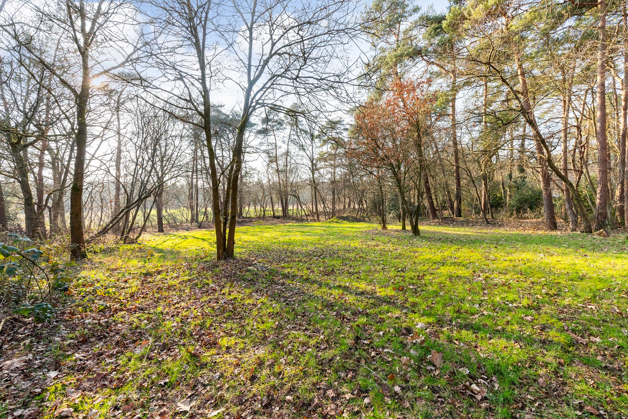 Foto 66 van Coldenhovenseweg 91