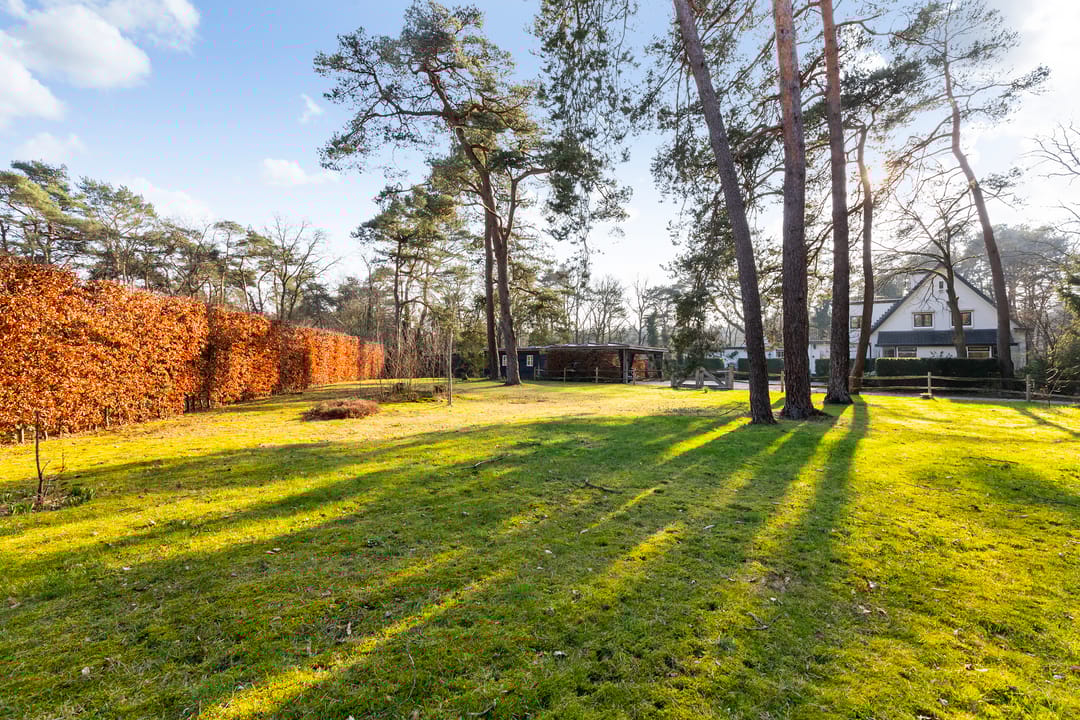 Foto 62 van Coldenhovenseweg 91