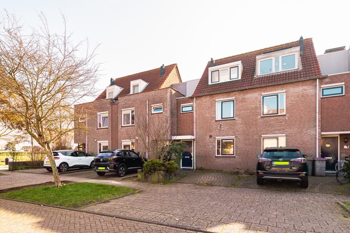 Bromelia 68 main image