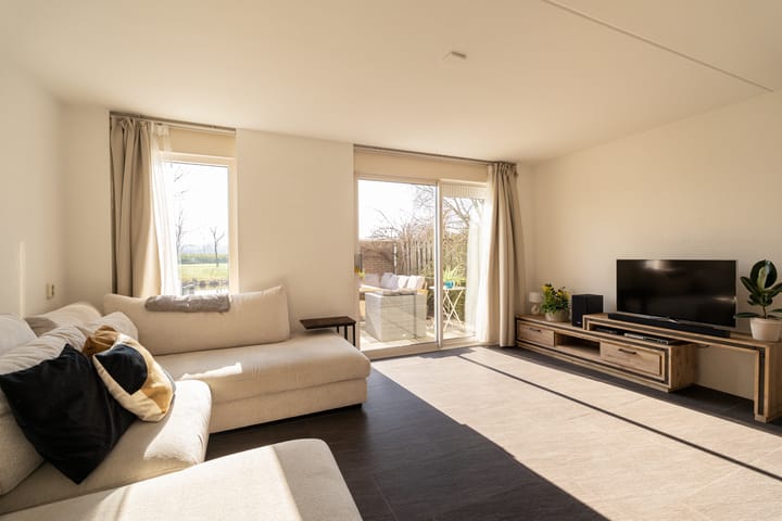 Photo 2 of Bromelia 68