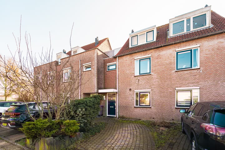 Photo 4 of Bromelia 68