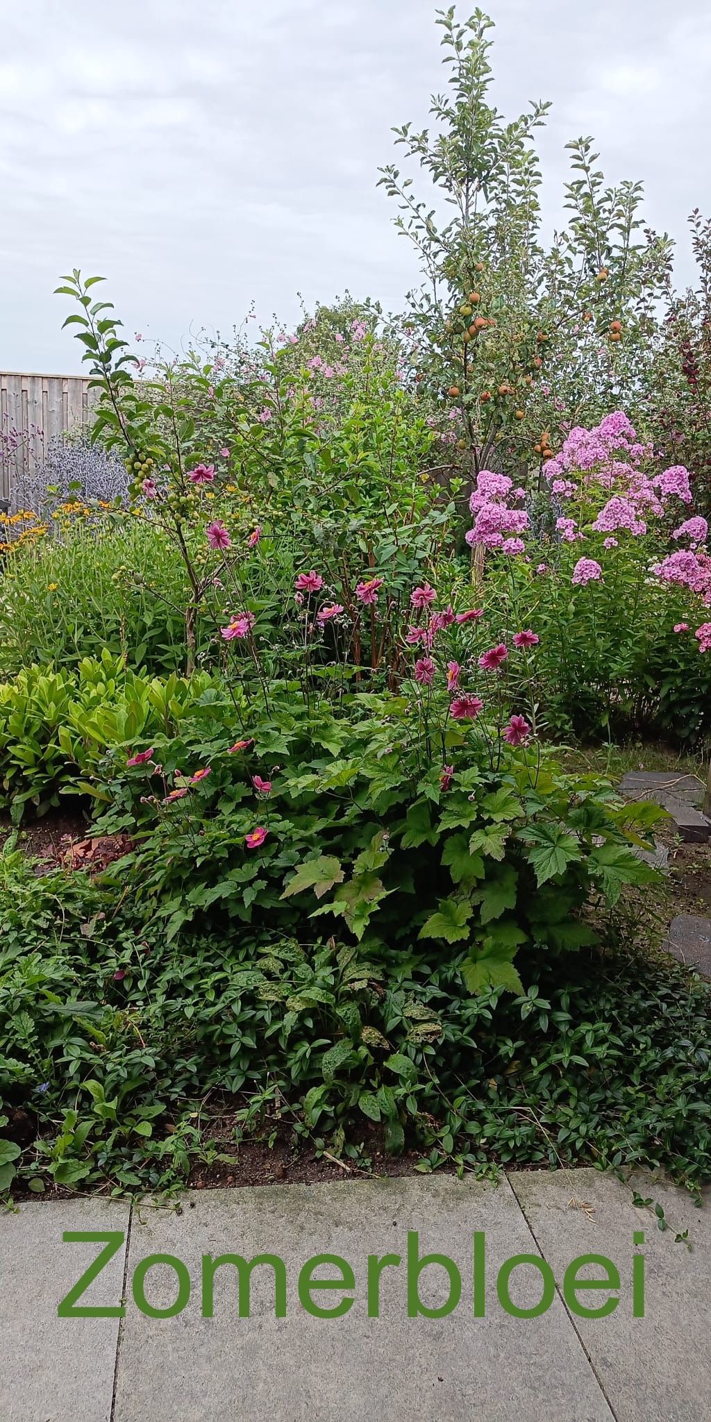 Foto 66 van Kwartel 47