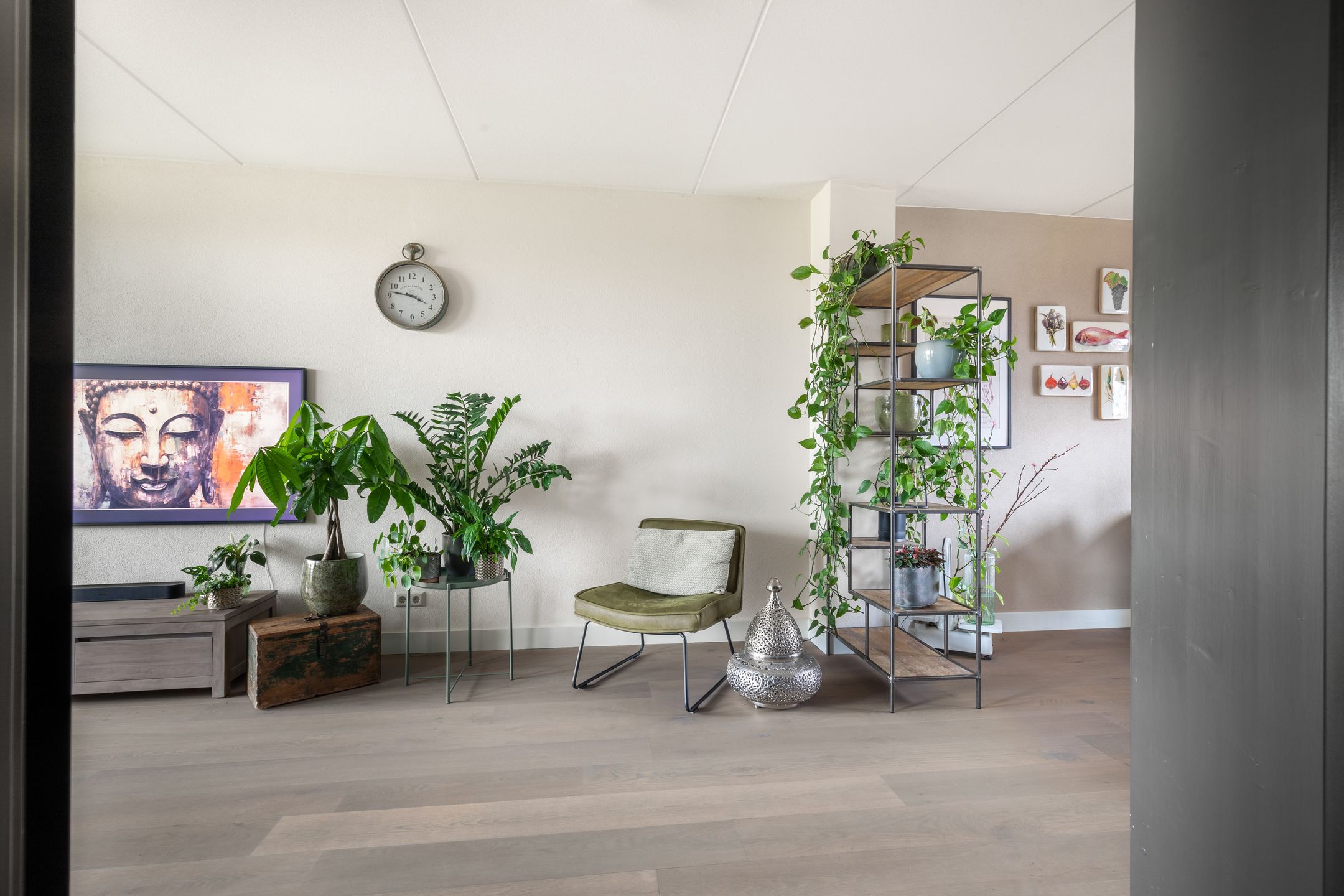 Photo 15 of Weegbree 21