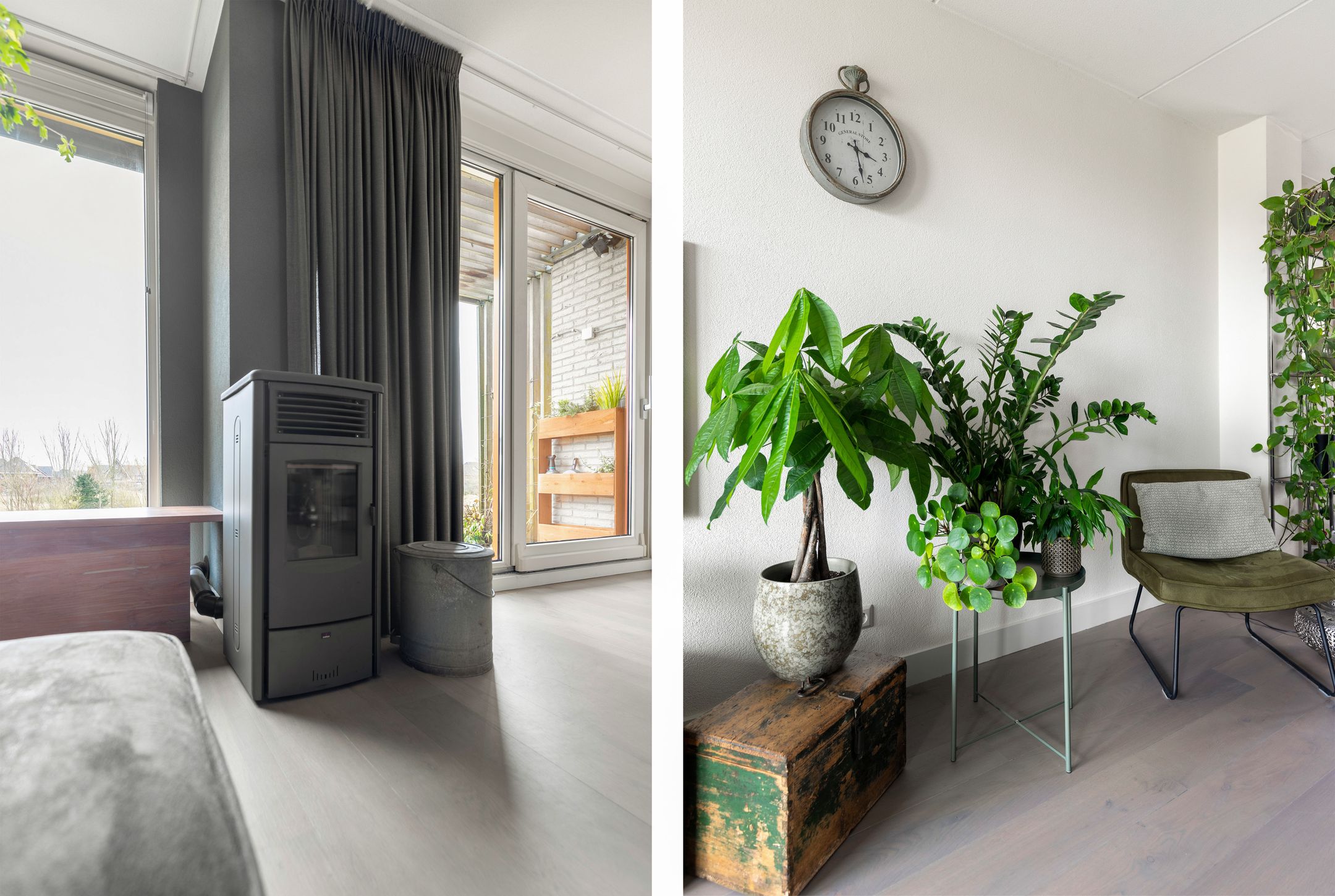 Photo 18 of Weegbree 21