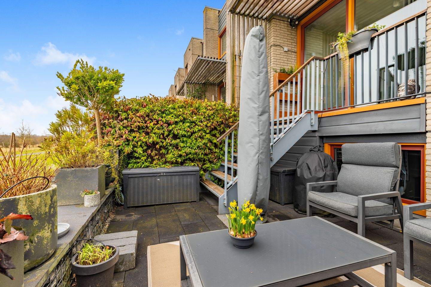 Photo 5 of Weegbree 21