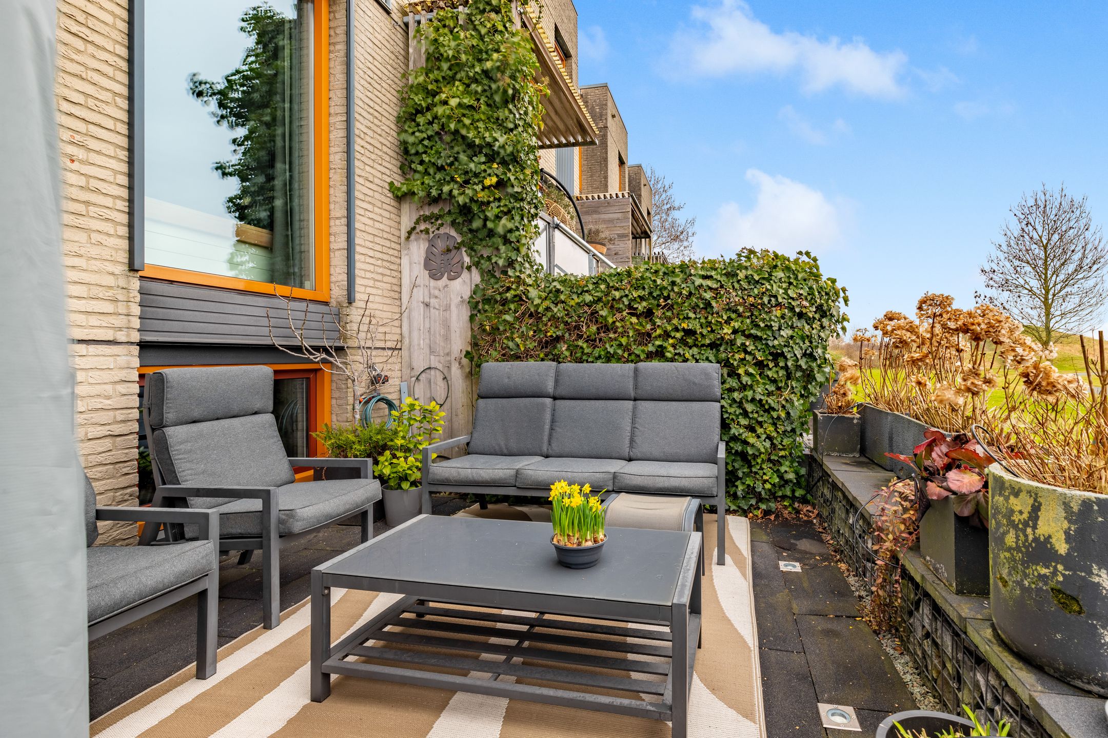 Photo 27 of Weegbree 21