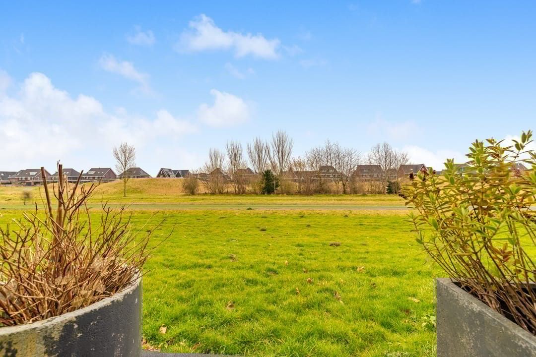 Photo 28 of Weegbree 21