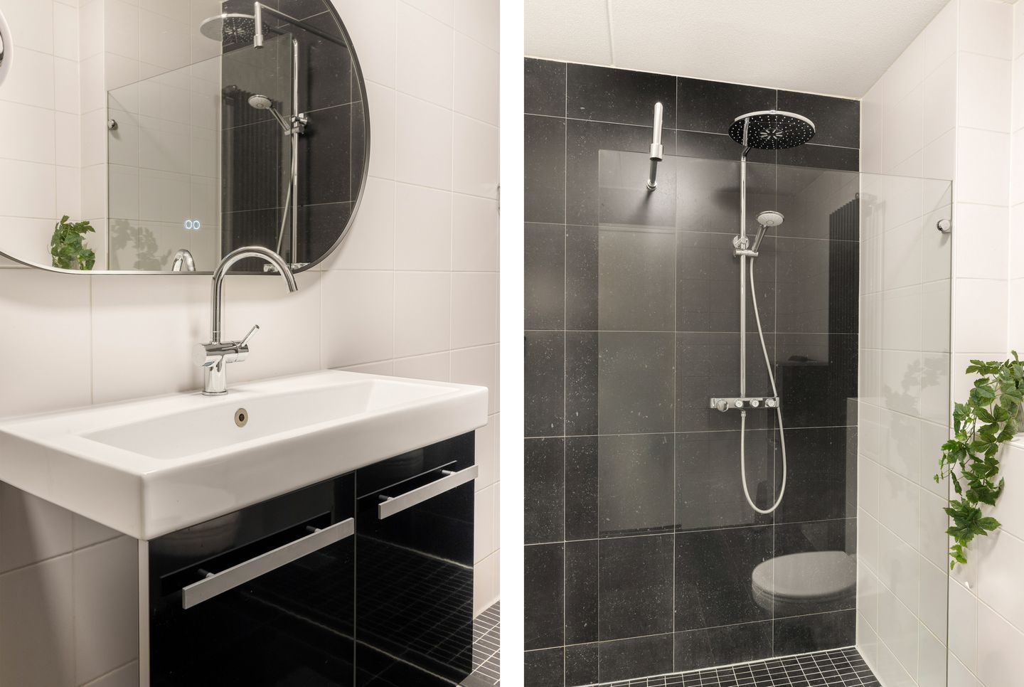 Photo 34 of Weegbree 21