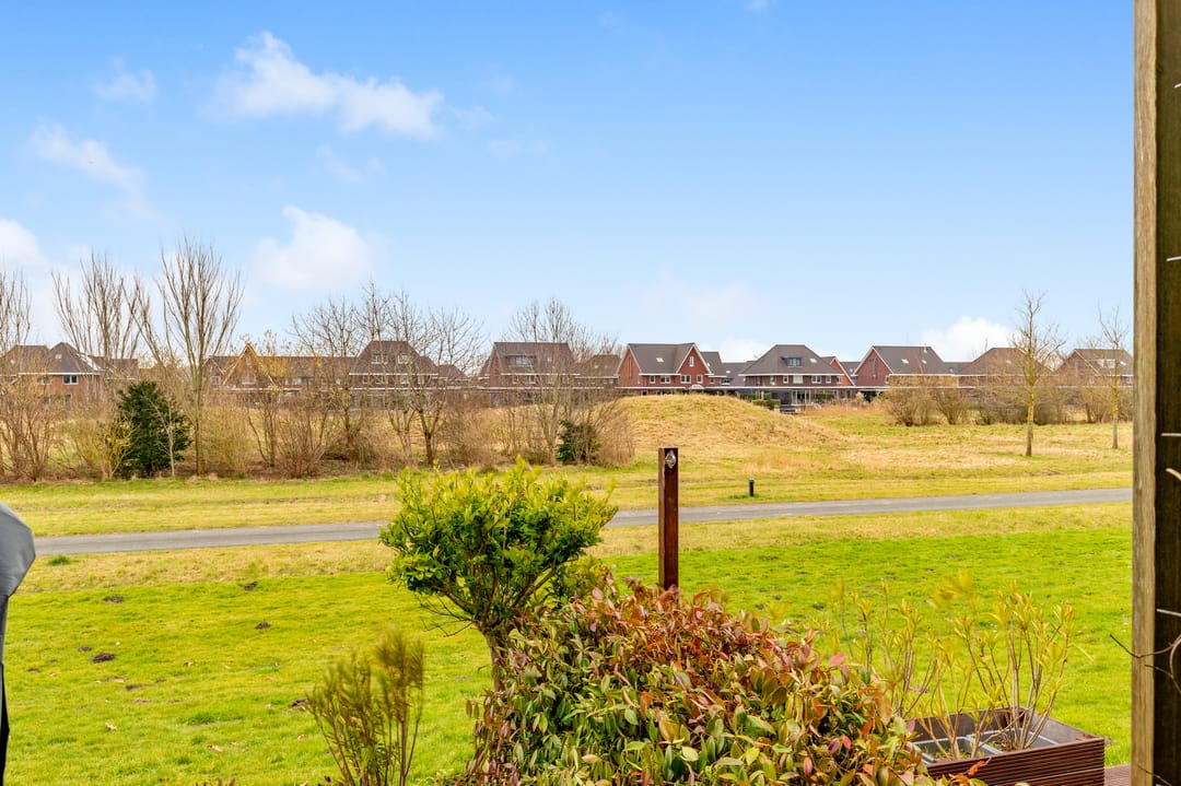 Photo 41 of Weegbree 21