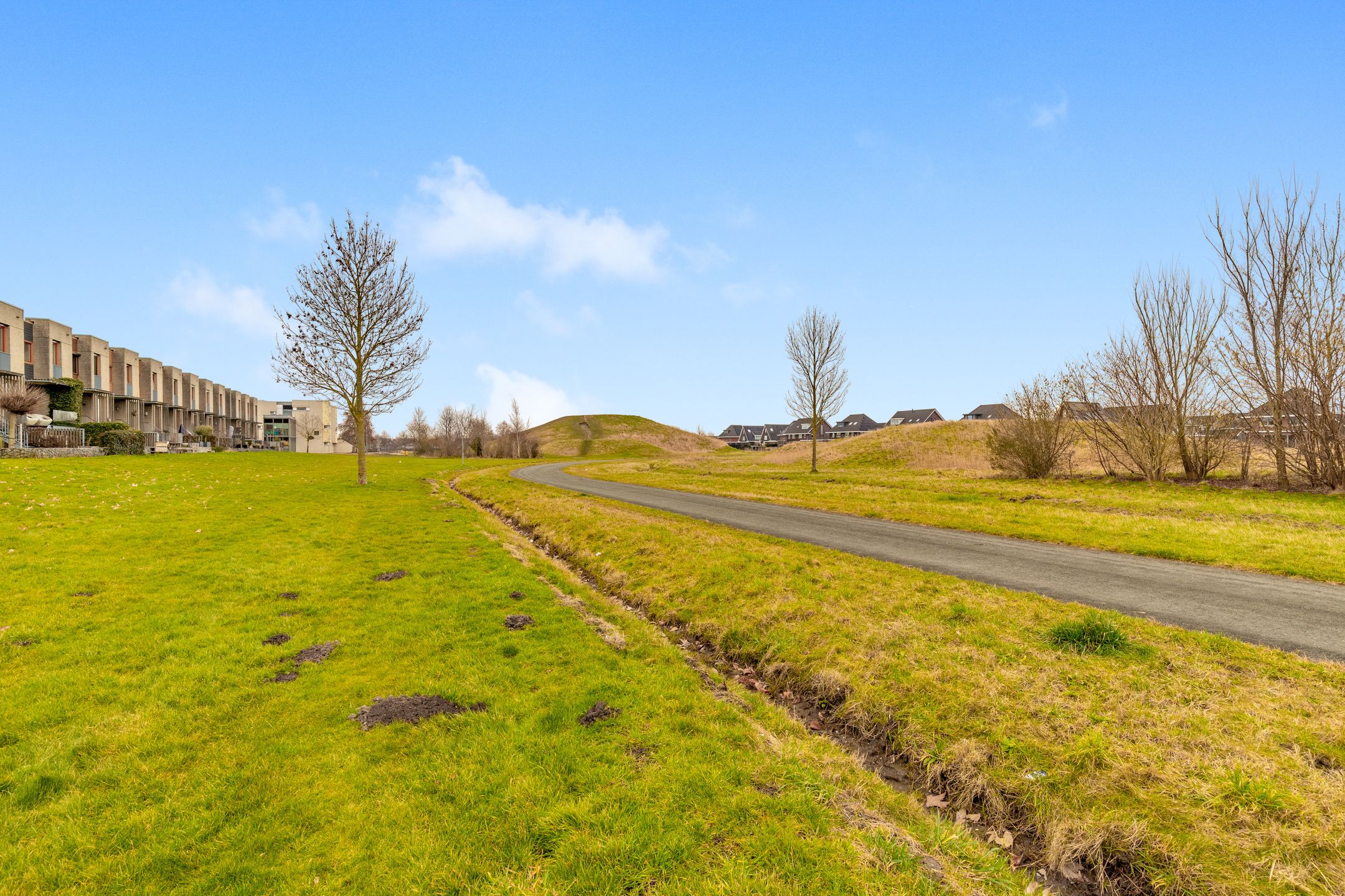 Photo 42 of Weegbree 21