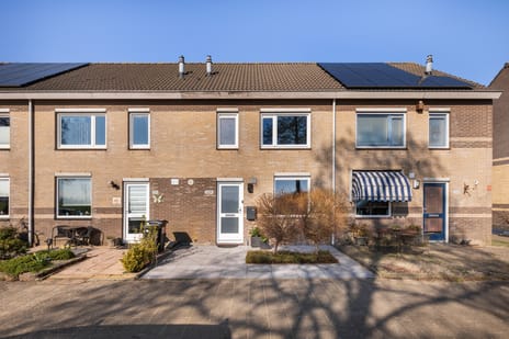 undefined main image