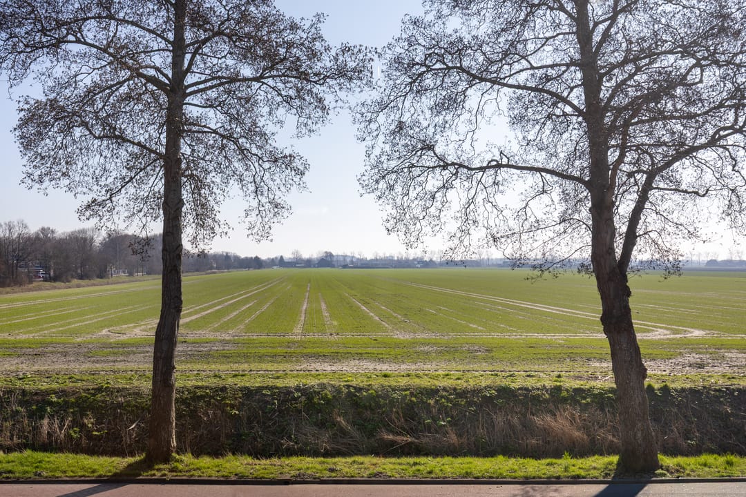 Foto 32 van Domineeslaan 123-A