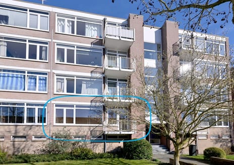 undefined main image