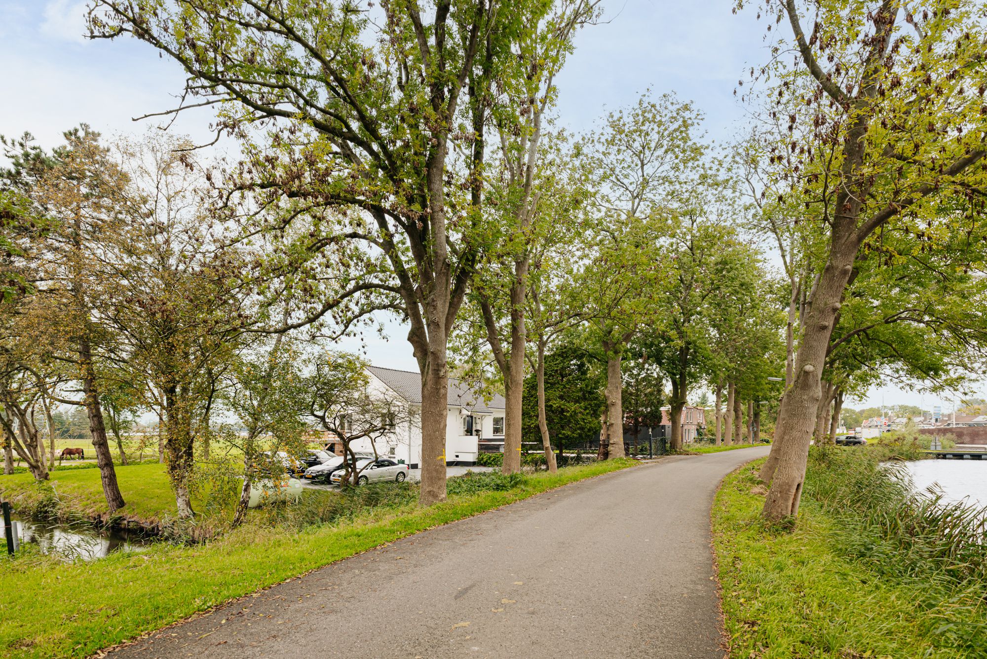 Photo 45 of Gein-Noord 89