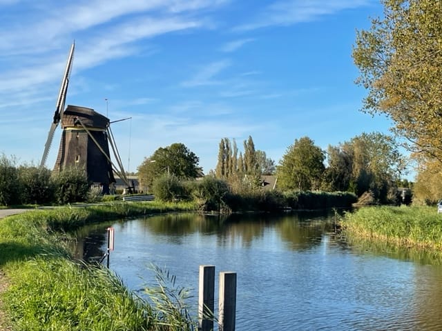 Photo 43 of Gein-Noord 89